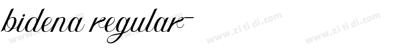 bidena regular字体转换